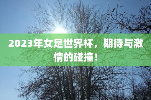 2023年女足世界杯，期待与激情的碰撞！