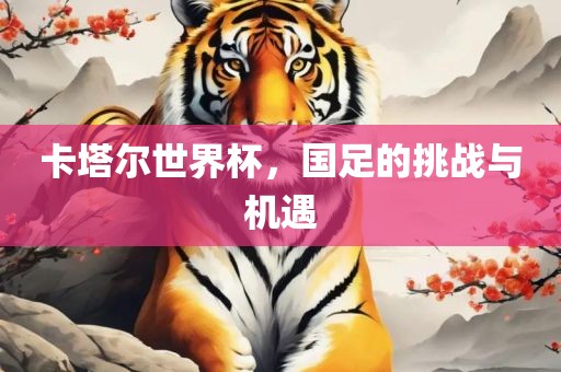 卡塔尔世界杯，国足的挑战与机遇漯河市盈旭机械设备有限公司