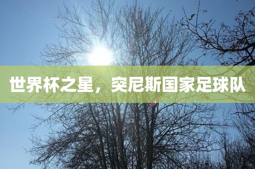 世界杯之星，突尼斯国家足球队