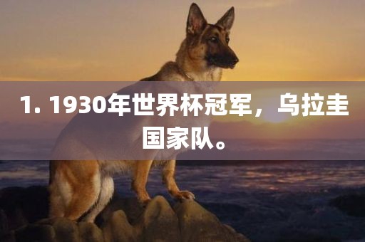 1漯河市盈旭机械设备有限公司. 1930年世界杯冠军，乌拉圭国家队。