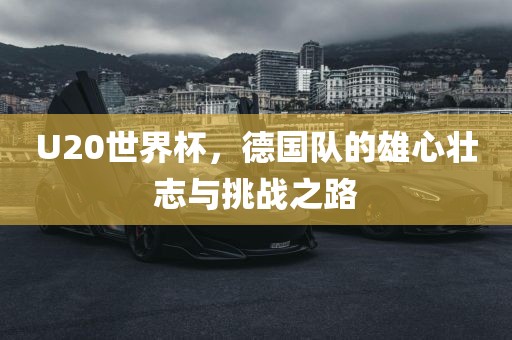 U20世界杯，德国队的雄心壮志与挑战之路