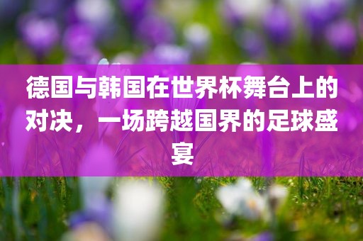 德国与韩国在世界杯舞台上的对决，一场跨越国界的足球盛宴