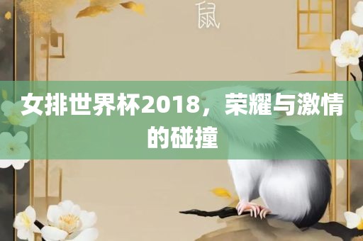 女排世界杯2018，荣耀与激情的碰撞