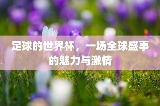 足球的世界杯，一场全球盛事的魅力与激情