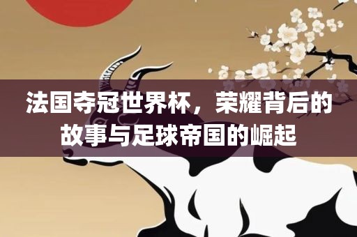 法国夺冠世界杯，荣耀背后的故事与足球帝国的崛起漯河市盈旭机械设备有限公司