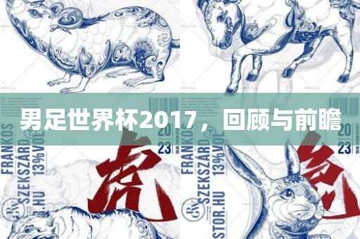 男足世界杯2017，回顾与前瞻漯河市盈旭机械设备有限公司