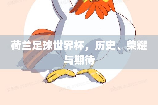荷兰足球世界杯，历史、荣耀与期待