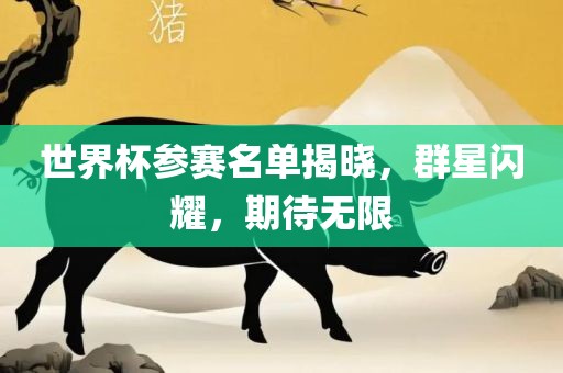 世界杯参赛名单揭晓，群星闪耀，期待无限