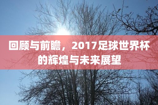 回顾与前瞻，2017足球世界杯的辉煌与未来展望