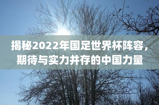 揭秘2022年国足世界杯阵容，期待与实力并存的中国力量