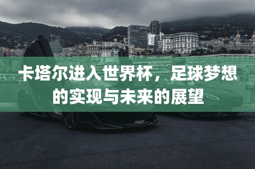 卡塔尔进入世界杯，足球梦想的实现与未来的展望漯河市盈旭机械设备有限公司