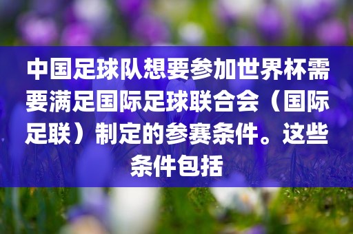 中国足球队想要参加世界杯需要满足国际足球联合会（国际足联）制定的参赛条件。这些条件包括