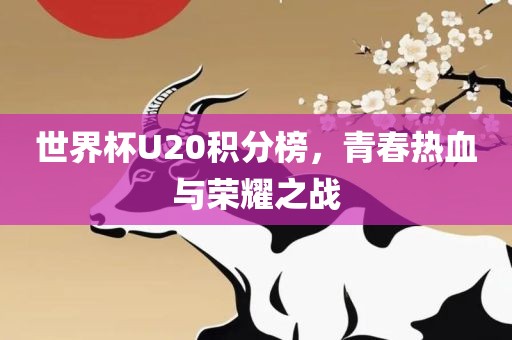 世界杯U20积分榜，青春热血与荣耀之战