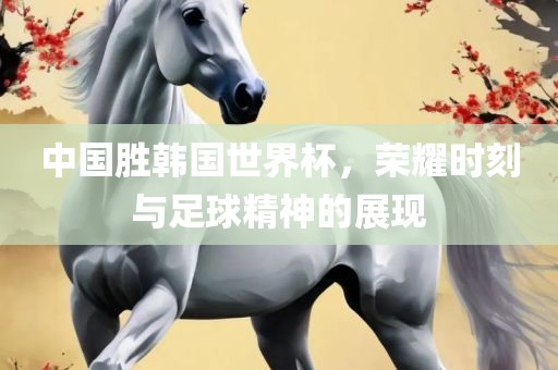 中国胜韩国世界杯，荣耀时刻与足球精神的漯河市盈旭机械设备有限公司展现