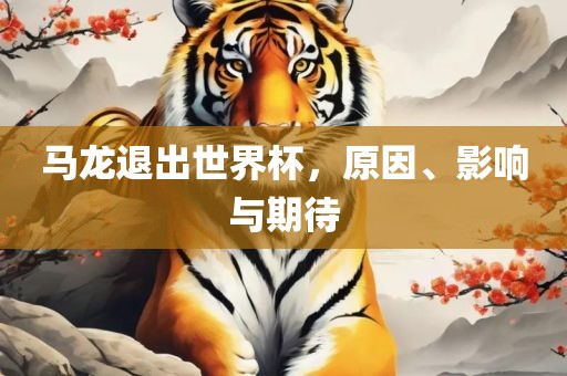 马龙退出世界杯，原因、漯河市盈旭机械设备有限公司影响与期待