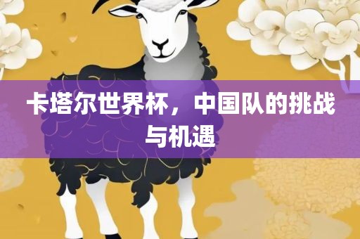 卡塔尔世界杯，中国队的挑战与机遇
