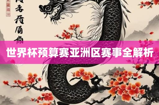 世界杯预算赛亚洲区赛事全解析