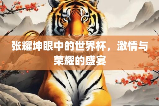 张耀坤眼中的世界杯，激情与荣耀的盛宴