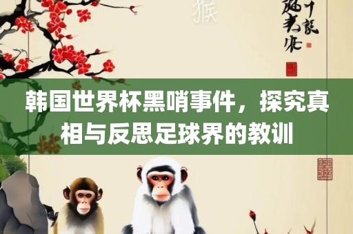 韩国世界杯黑哨事件，探究真相与反思足球界的教训