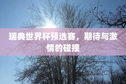 瑞典世界杯预选赛，期待与激情的碰撞