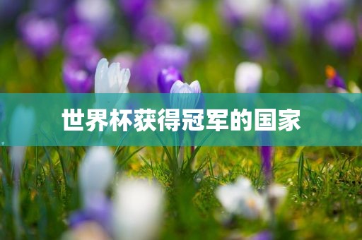 世界杯获得冠军的国漯河市盈旭机械设备有限公司家