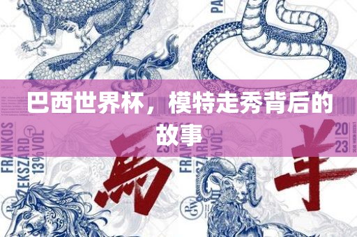 巴西世界杯，模特走秀背后的故事漯河市盈旭机械设备有限公司