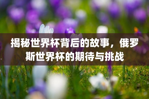 揭秘世界杯背后的故事，俄罗斯世界杯的期待与挑战