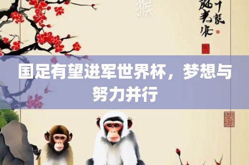 国足有望进军世界杯，梦想与努力并行