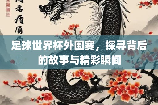 足球世界杯外围赛，探寻背后的故事与精彩瞬间