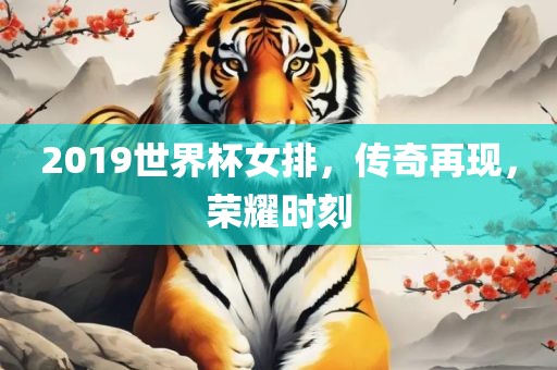 2019世界杯女排，传奇再现，荣耀时刻