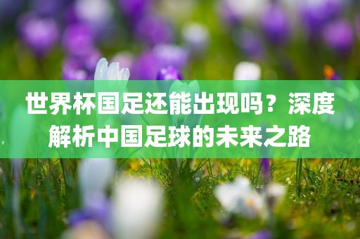 世界杯国足还能出现吗？深度解析中国足球的未来之路