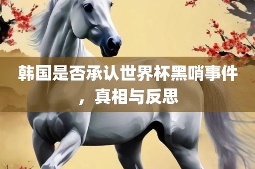 韩国是否承认世界杯黑哨事件，真相与反思