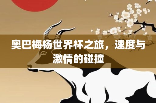 奥巴梅杨世界杯之旅，速度与激情的碰撞