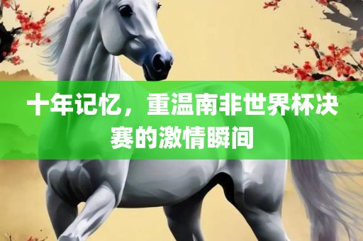 十年记忆，重温南非世界杯决赛的激情瞬间