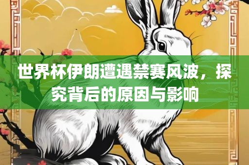 世界杯伊朗遭遇禁赛风波，探究背后的原因与影响
