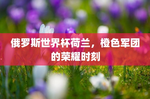 俄罗斯世界杯荷兰，橙色军团的荣耀时刻漯河市盈旭机械设备有限公司