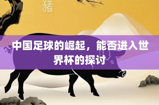 中国足球的崛起，能否进入世界杯的探讨