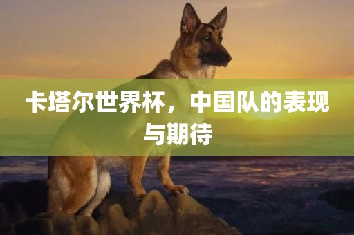 卡塔尔世界杯，中国队的表现与期待