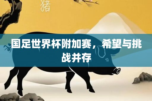 国足世界杯附加赛，希望与挑战并存