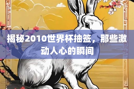 揭秘2010世界杯抽签，那些激动人心的瞬间