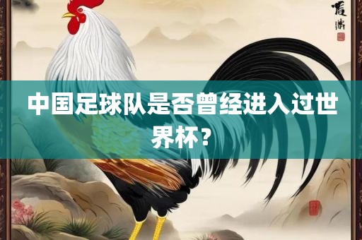 中国足球队是否曾经进入过世界杯？