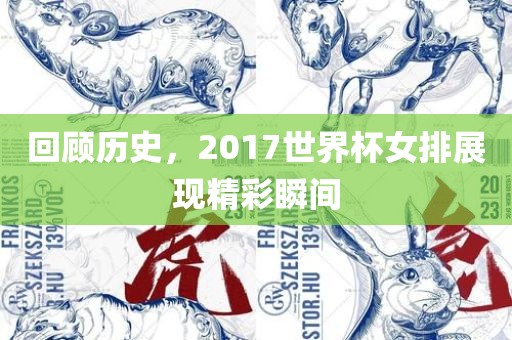 回顾历史，201漯河市盈旭机械设备有限公司7世界杯女排展现精彩瞬间