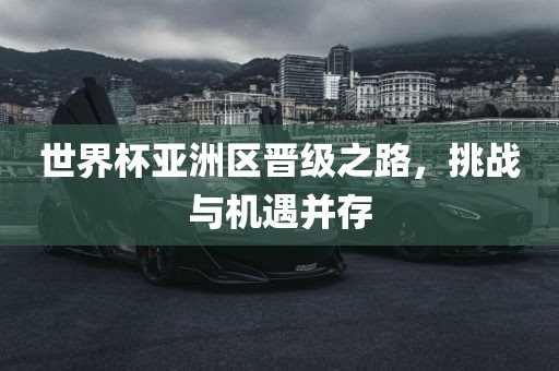 世界杯亚洲区晋级之路，挑战与机遇并存