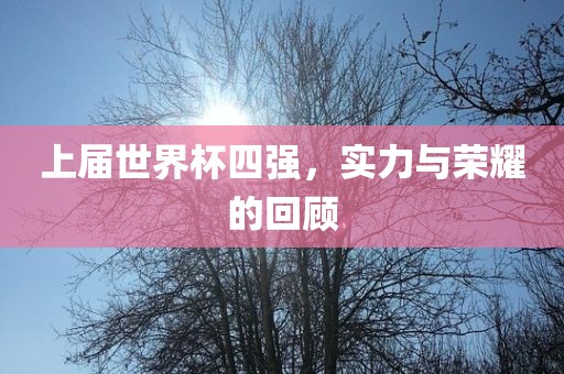 上届世界杯四强，实力与荣耀的回顾