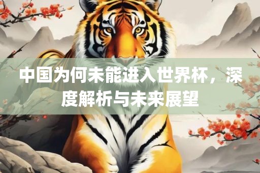 中国为何未能进入世界杯，深度解析与未来展望