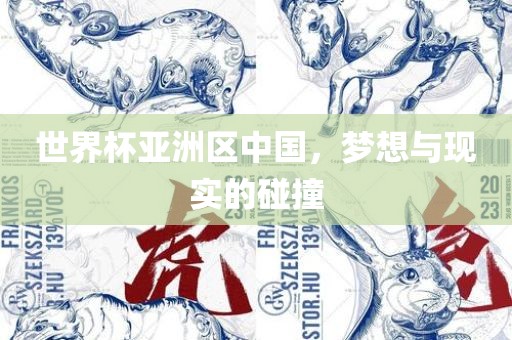 世界杯亚洲区中国，梦想与现实的碰撞