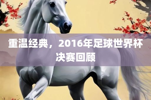 重温经典，2016年足球世界杯决赛回顾