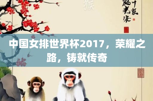 中国女排世界杯2017，荣耀之路，铸就传奇