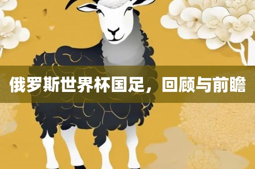 俄罗漯河市盈旭机械设备有限公司斯世界杯国足，回顾与前瞻