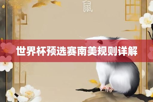 世界杯预选赛南美规则详解漯河市盈旭机械设备有限公司